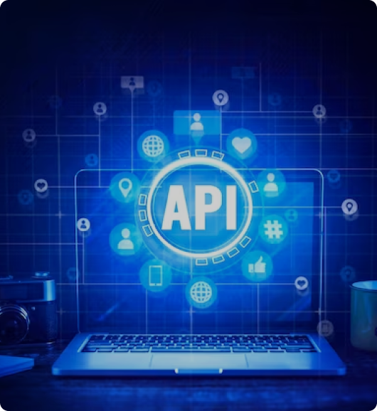 Api